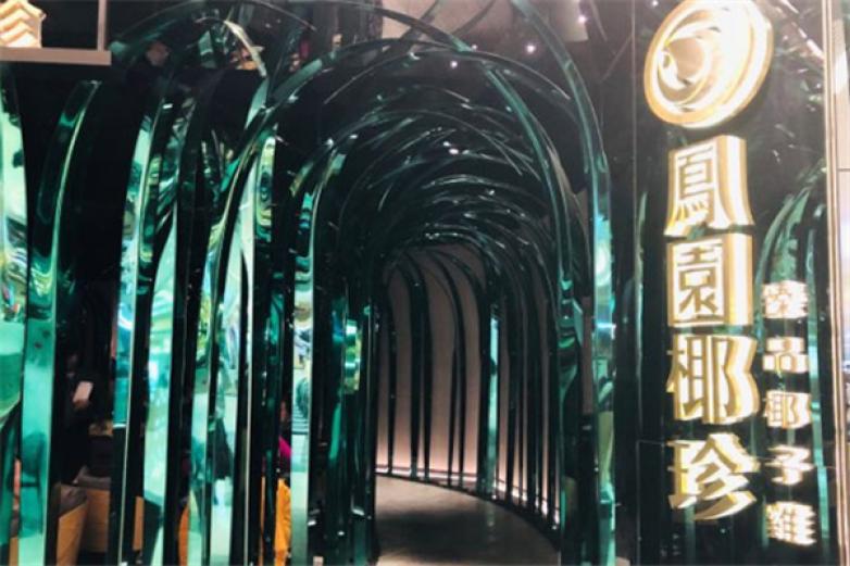 凤园椰珍椰子鸡